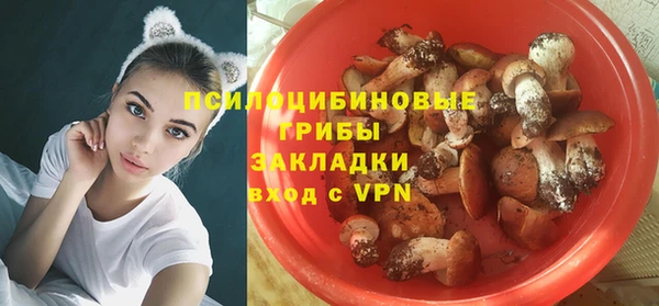 герыч Алексин