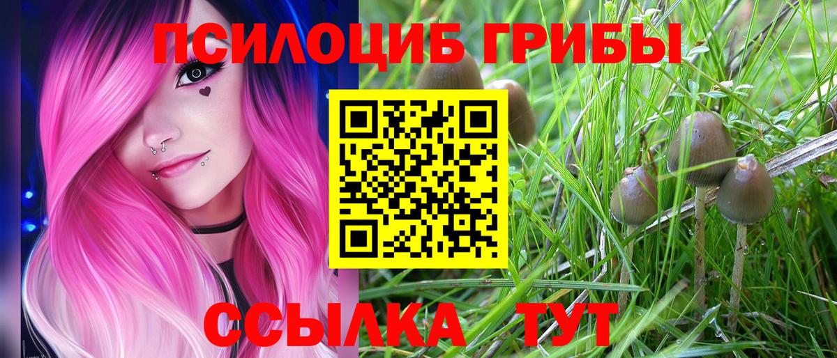 Галлюциногенные грибы мицелий  Вход с VPN  Галлюциногенные грибы MAGIC MUSHROOMS  Алексеевка 