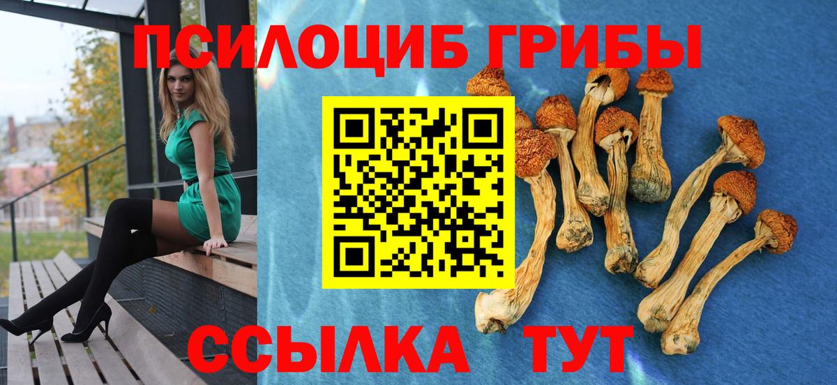Псилоцибиновые грибы мухоморы  купить наркотик  Алексеевка 